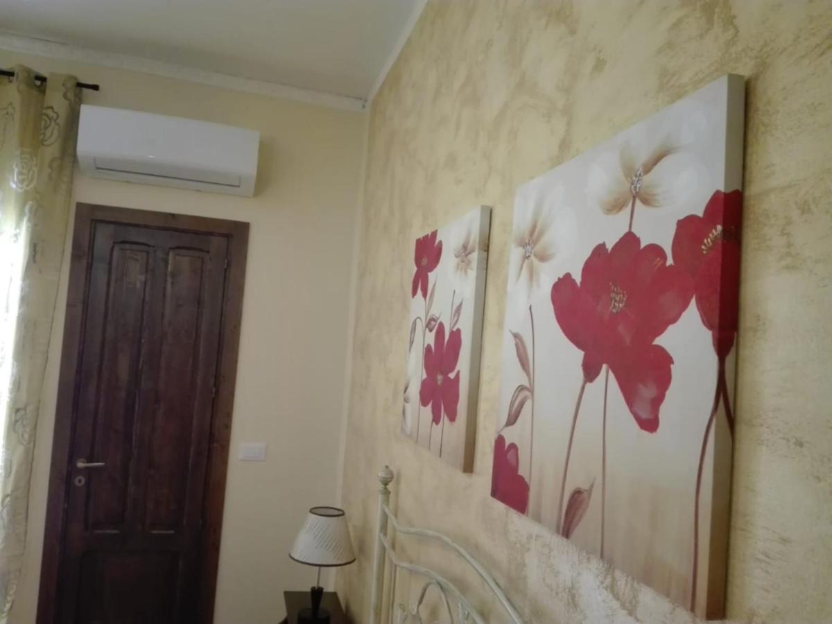 La Casa Di Anita Nel Cuore Di Segesta 칼라타피미 외부 사진